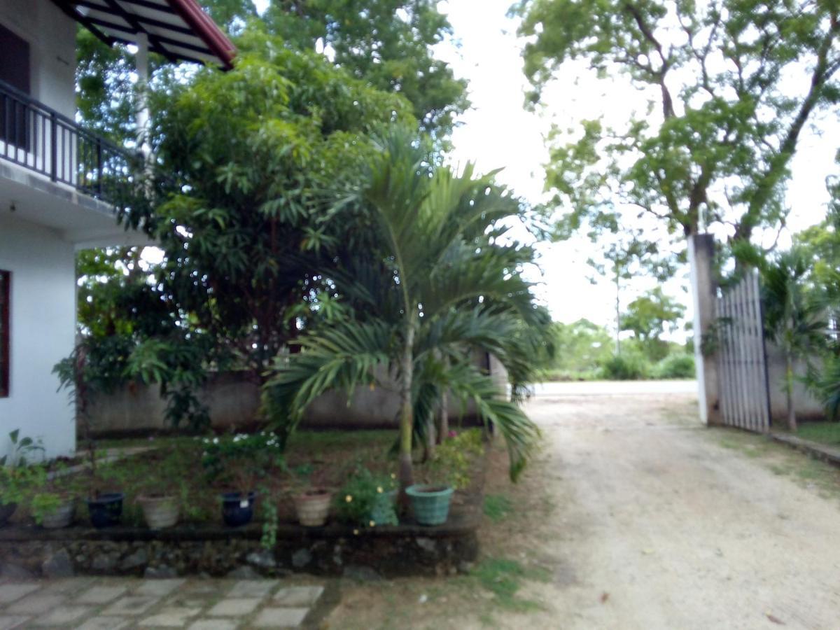 Hotel Gayan'S Uda Walawe Extérieur photo